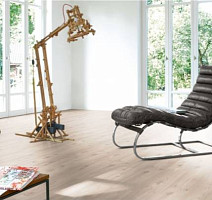 Parador Basic Plus 400 1426510 Балтийский Сосна фото 4 | FLOORDEALER